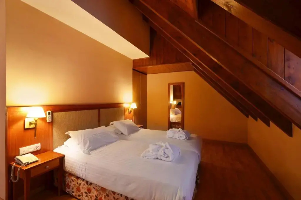 Hotel Acevi Val d'Aran - Général