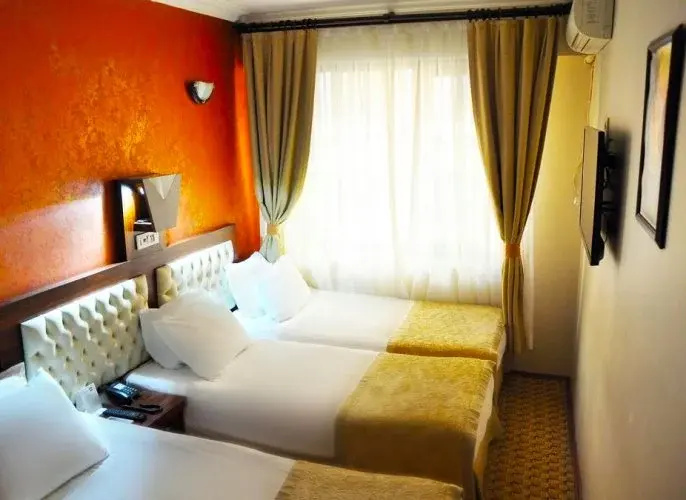 Basic Triple room