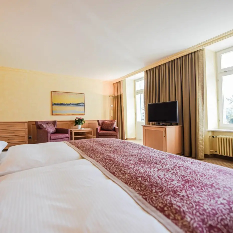 Deluxe Classic Double room with balcony (full double bed)