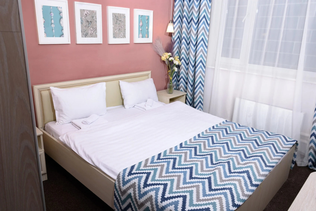 Standard Double room (twin beds)