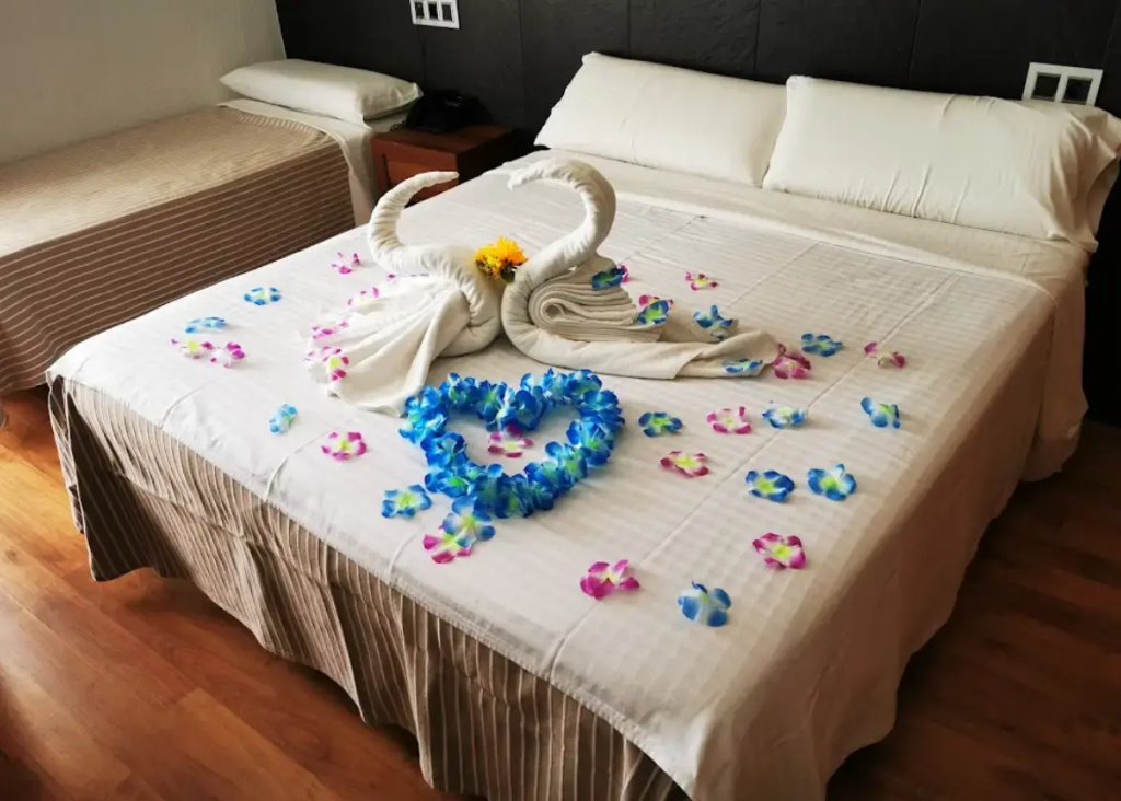 Hotel Astoria Park - Chambres