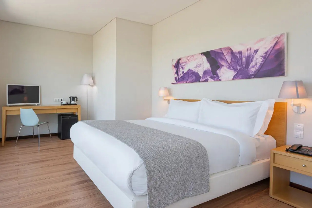 Premium Terrace Double room (full double bed)