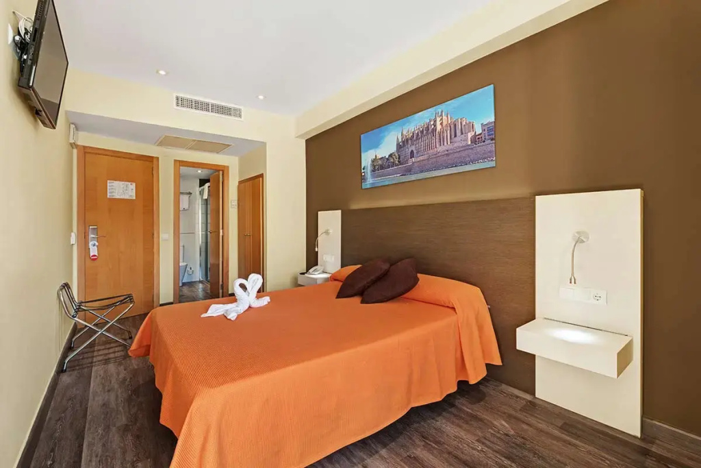 Standard Double room (full double bed)
