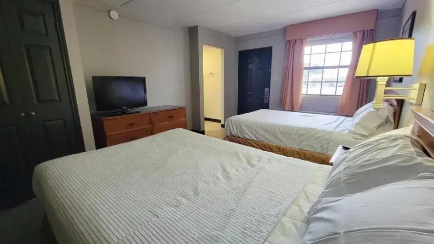 Standard Double room (twin beds)