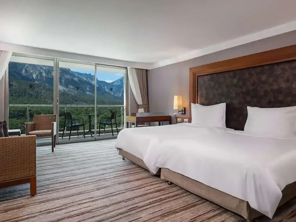 Standard Double room Mountain View (full double bed)