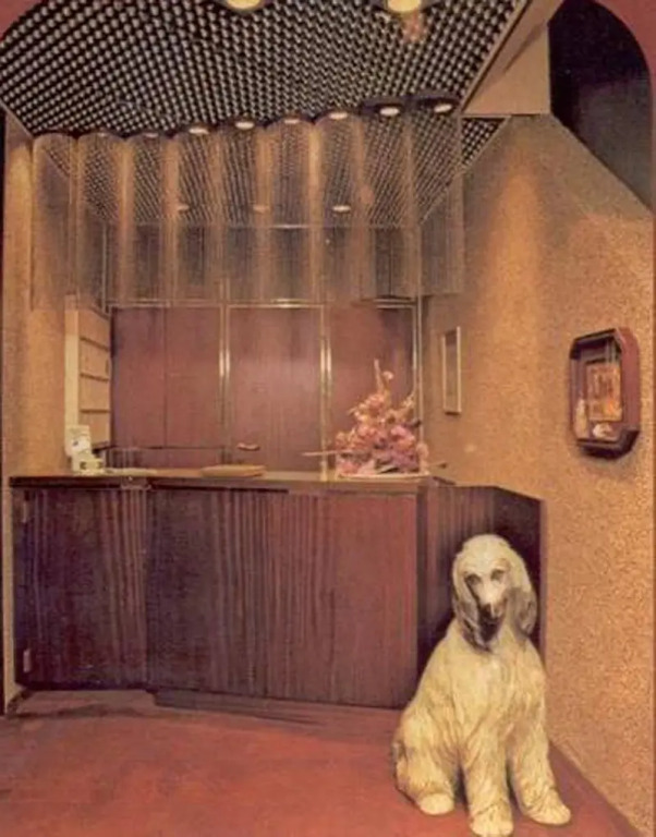 Image 6