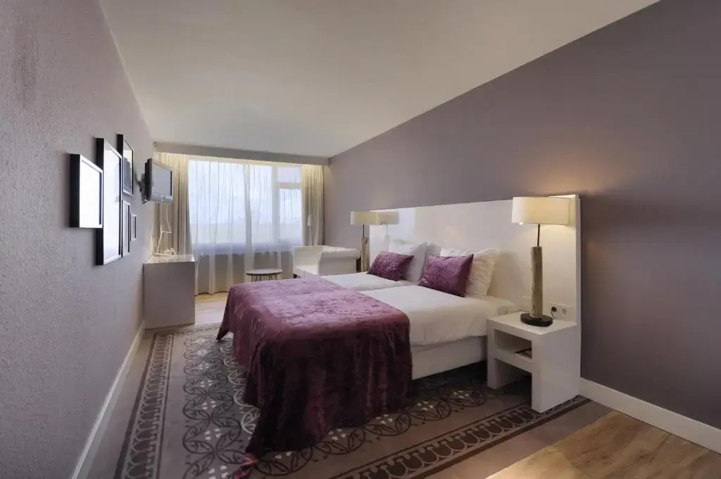 Comfort Double room (full double bed)