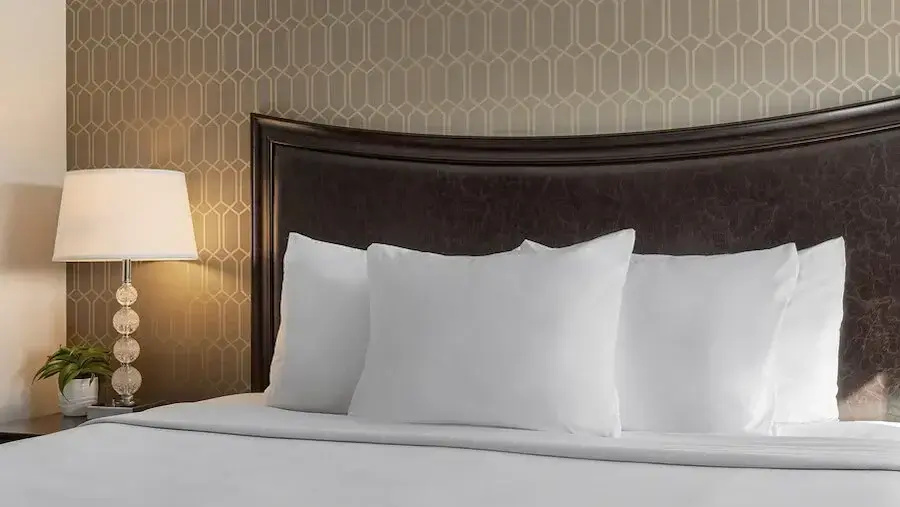 Peacock Suites - Chambres