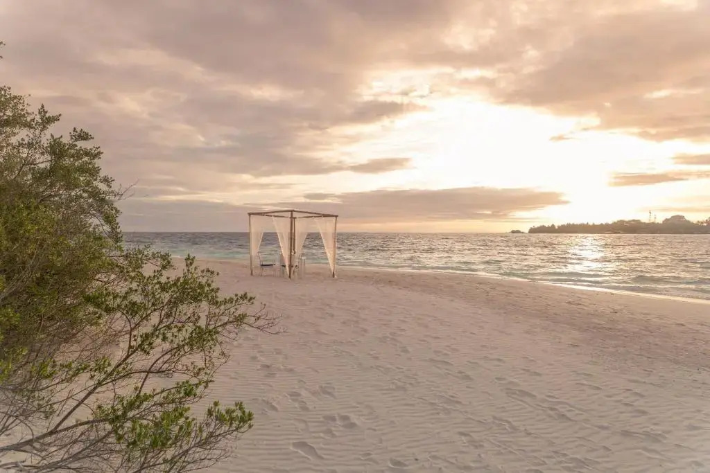 Malahini Kuda Bandos