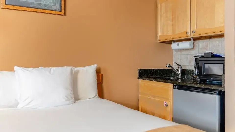 The Fold Hotels Steamboat Springs - Chambres