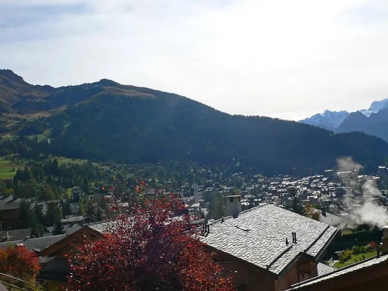 Image 6