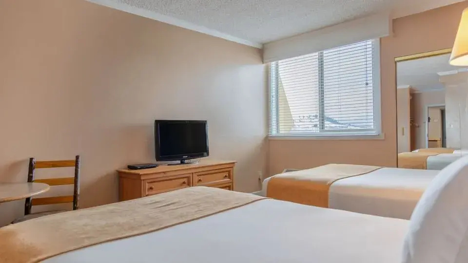 The Fold Hotels Steamboat Springs - Chambres