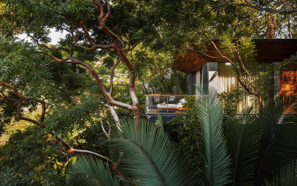 Double Treehouse (full double bed)