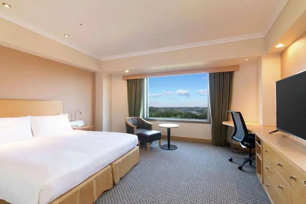 Hilton Tokyo Narita Airport - Général
