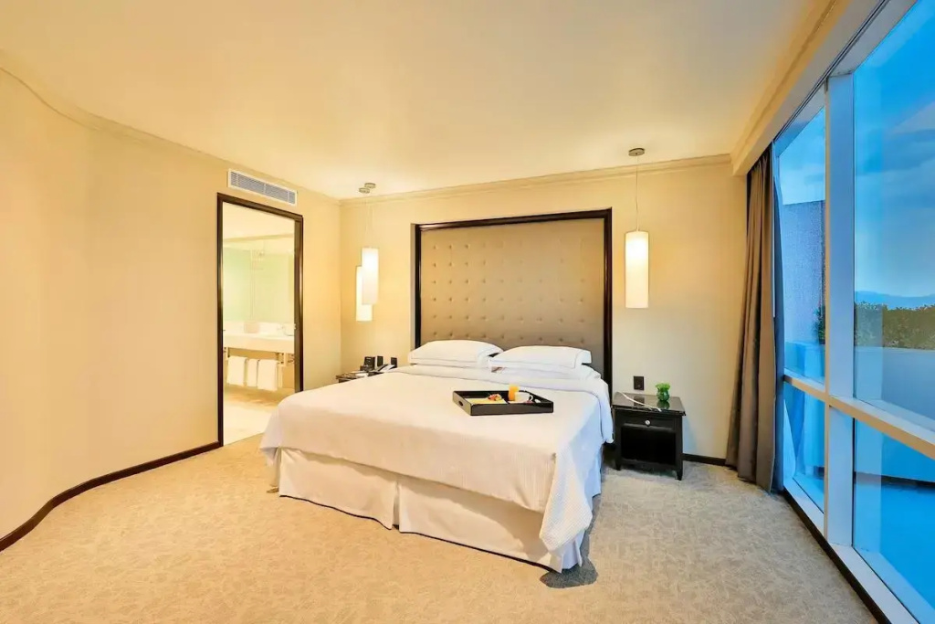 Premium Level Double Suite with city view (full double bed)