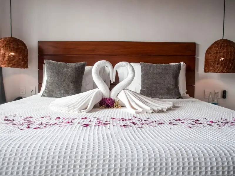 Double Junior Suite (full double bed)