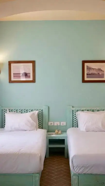 Superior Double room with Terrace with partial view (twin beds)