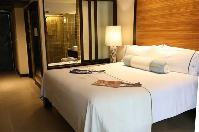 Tropical Sustainability Double room (full double bed)