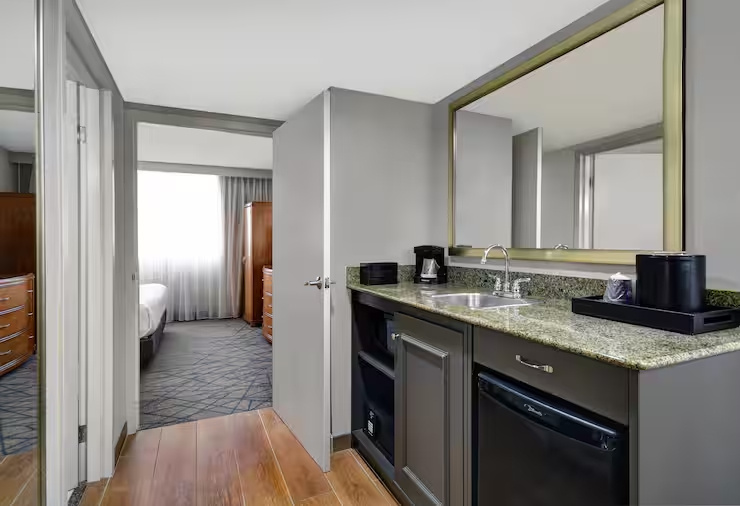 Embassy Suites by Hilton Detroit Livonia Novi - Chambres