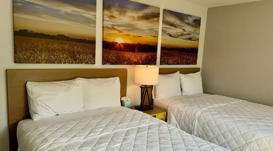 Quadruple Suite