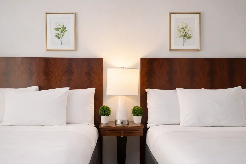 Standard Double room (twin beds)