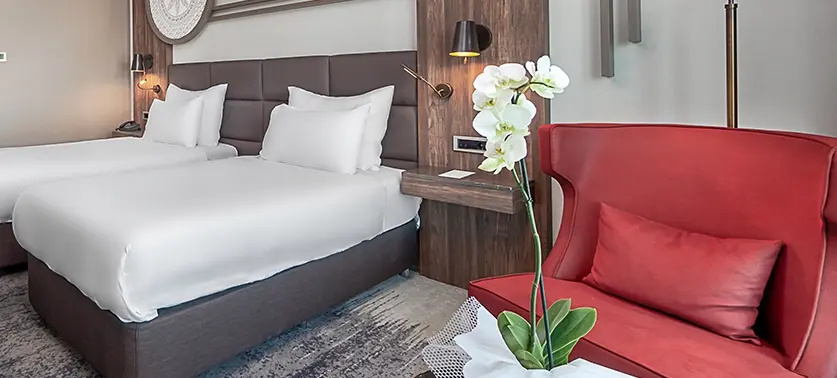 Superior Double room with city view (twin beds)