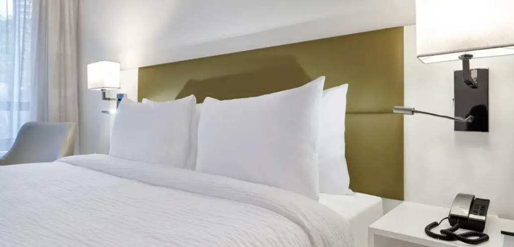 Radisson Barra Rio De Janeiro - Chambres