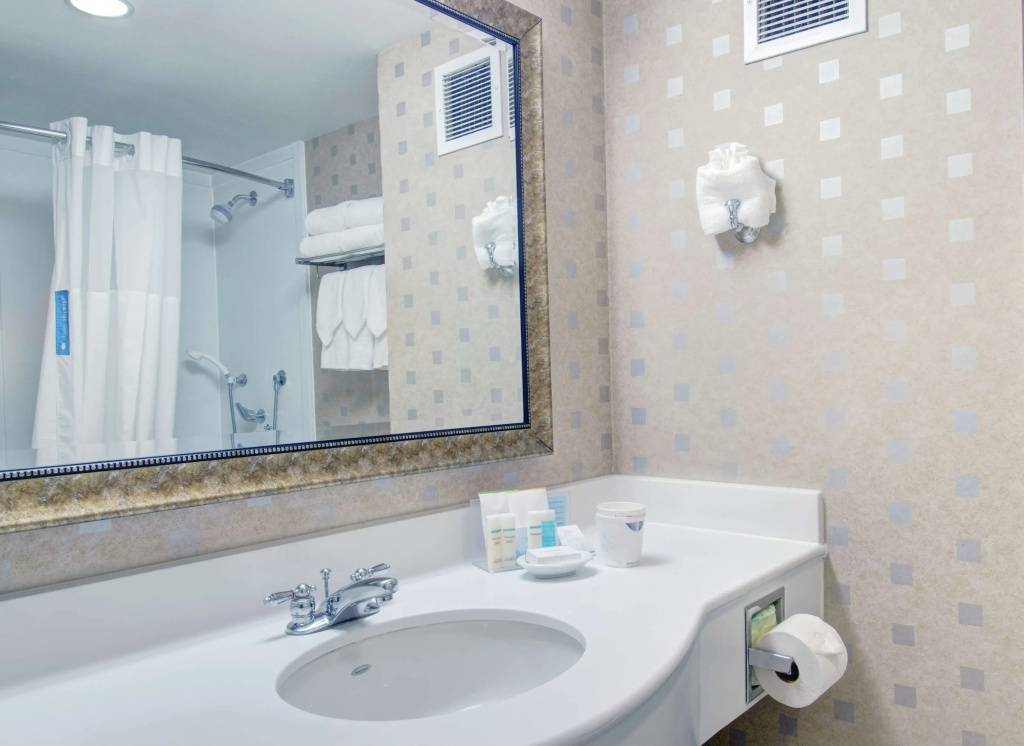 Hampton Inn & Suites Boston Crosstown Center - Chambres
