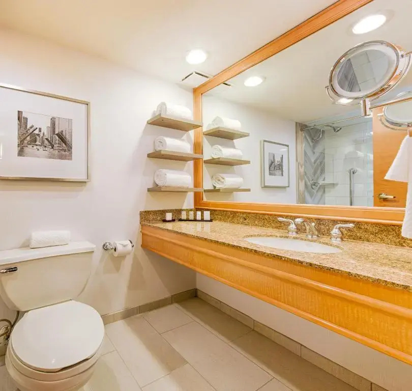 Embassy Suites by Hilton Chicago O'Hare Rosemont - Chambres