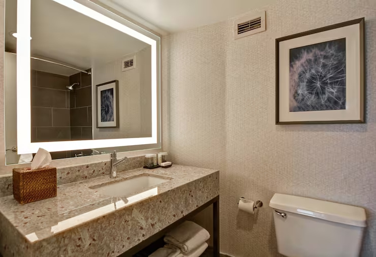 Embassy Suites by Hilton Minneapolis Airport - Chambres