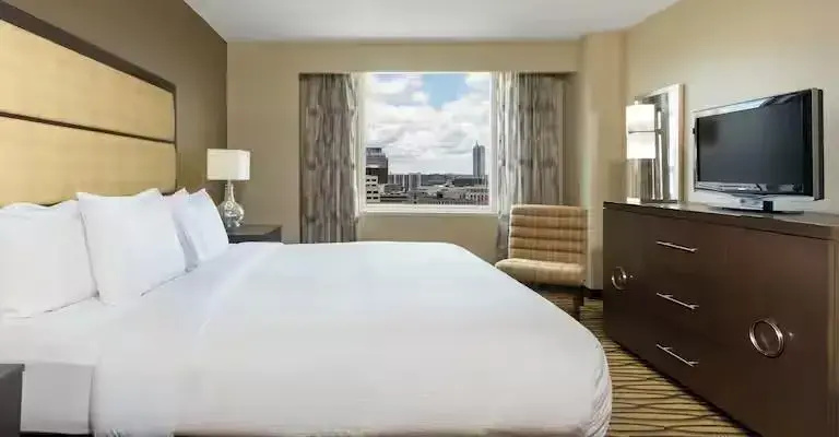 Deluxe Double Suite (full double bed)