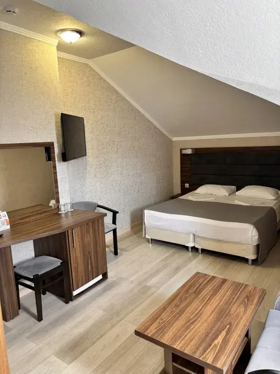 Standard Double Attic room (full double bed)