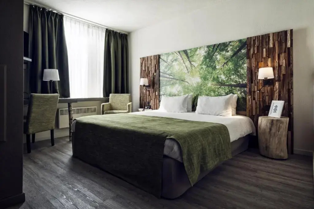 Comfort Double room (full double bed)