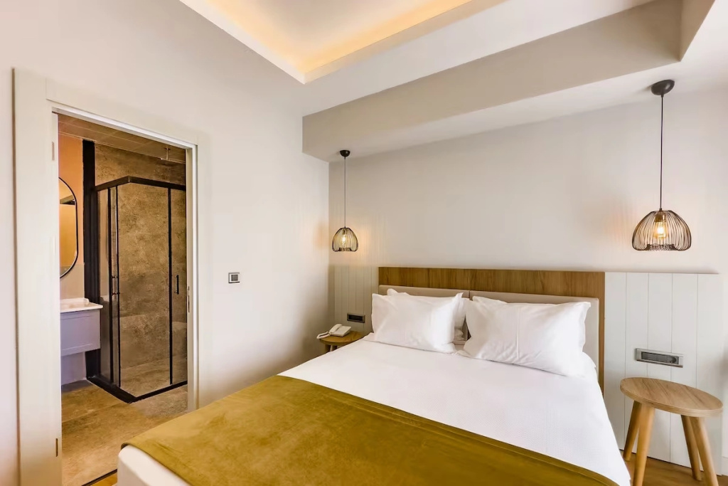 Deluxe Double room (full double bed)