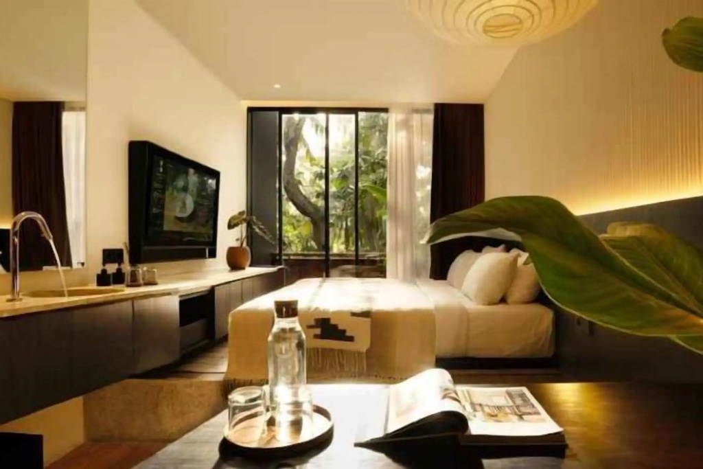 Alinea Double room (full double bed)