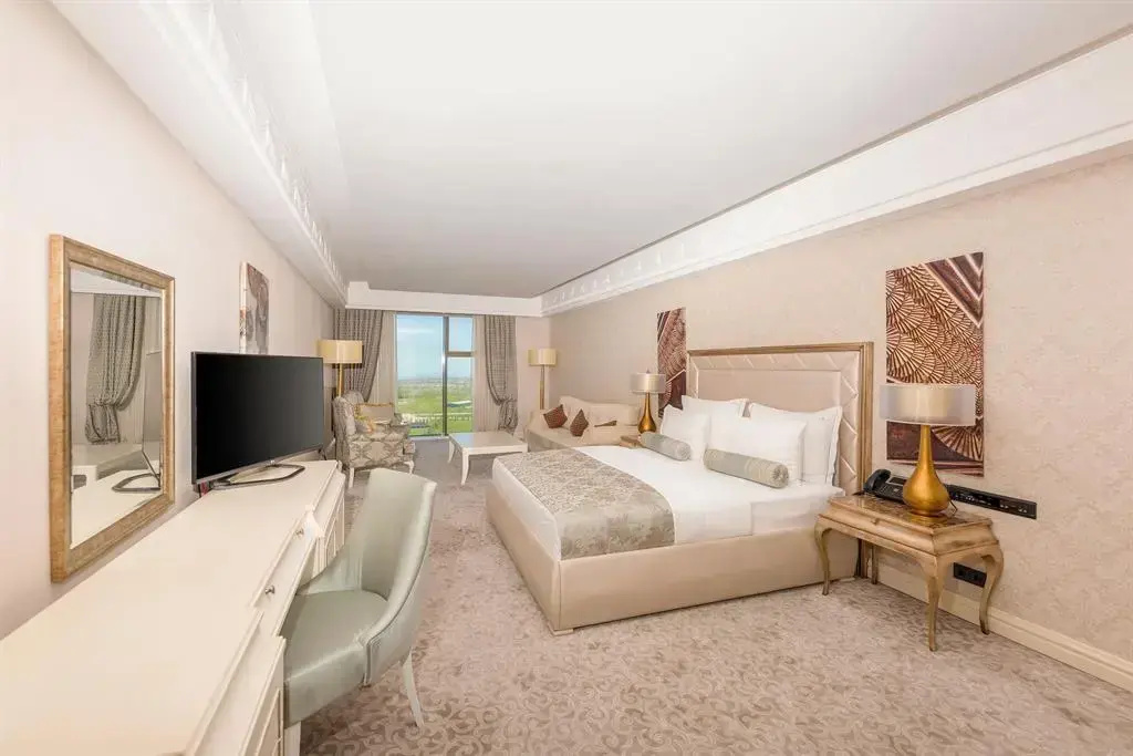 Double Junior Suite (full double bed)