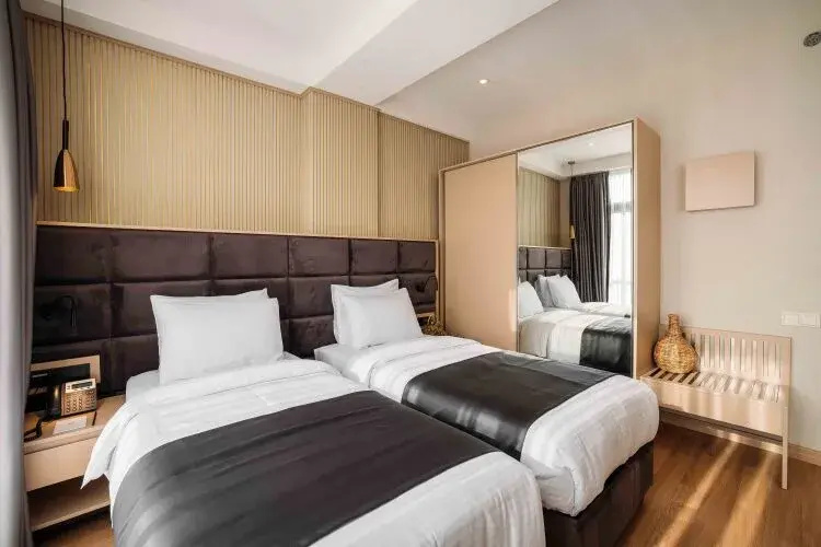 Deluxe Double room (twin beds)