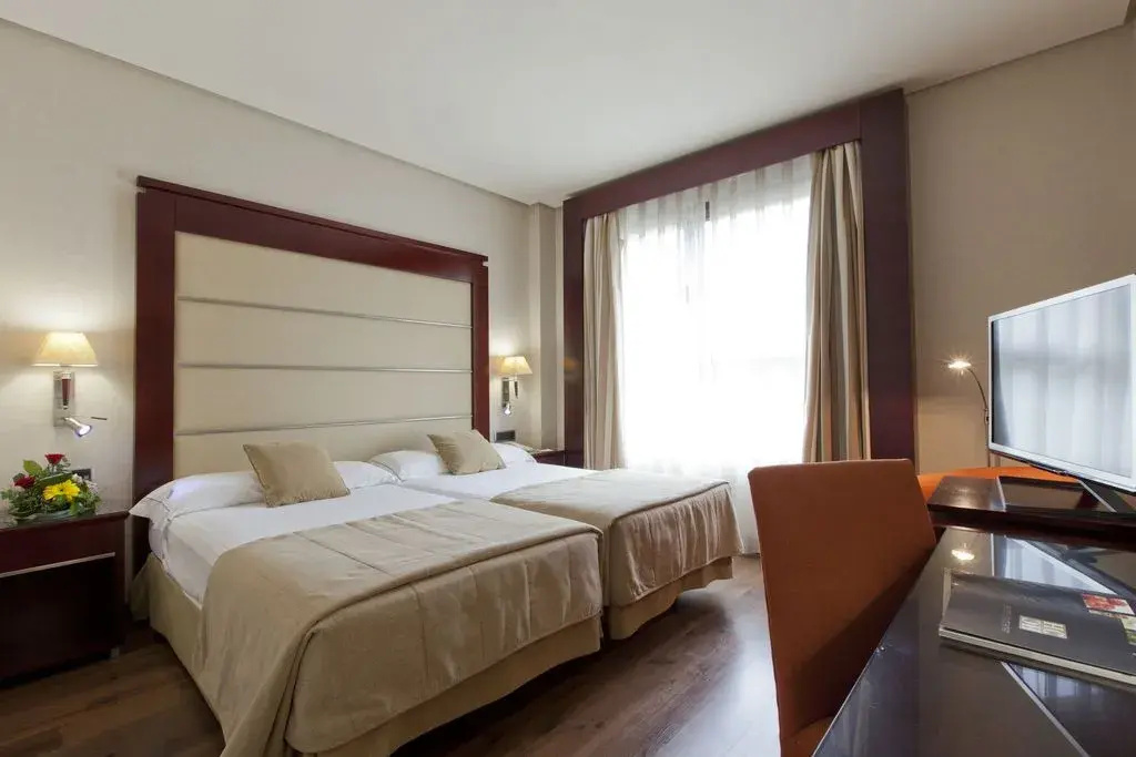 Standard Double room (twin beds)