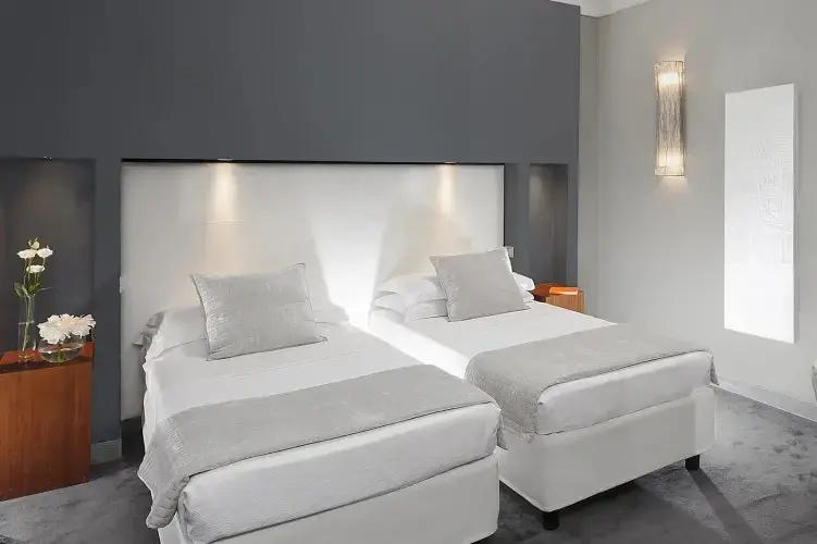 Classic Double room (twin beds)