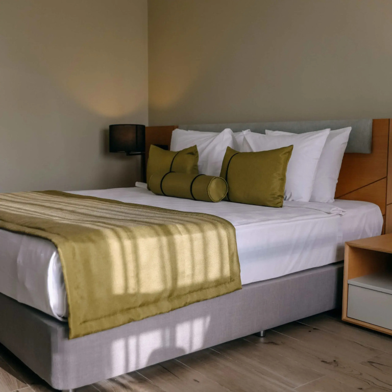 Standard Double room with land view (twin beds)