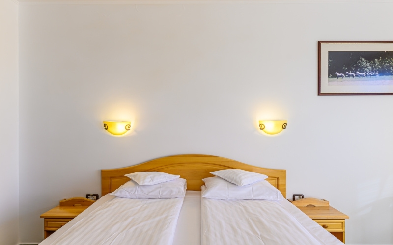 Hotel Casa Viorel - Chambres