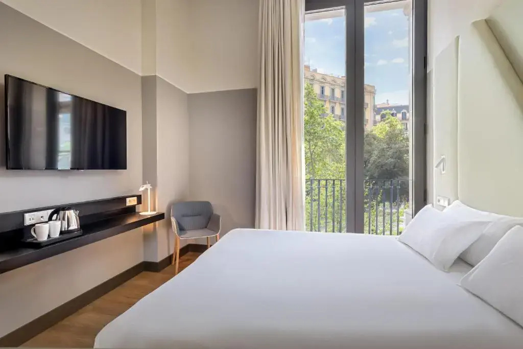 Deluxe Double room (twin beds)