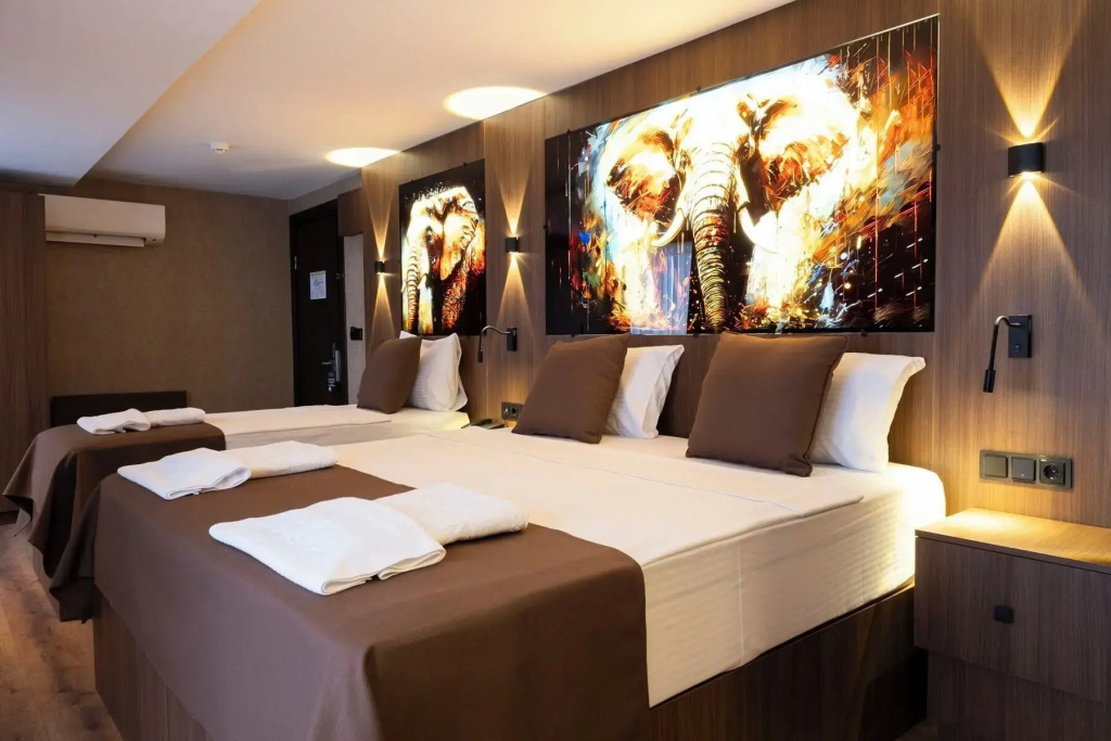 Superior Large Double room (full double bed)