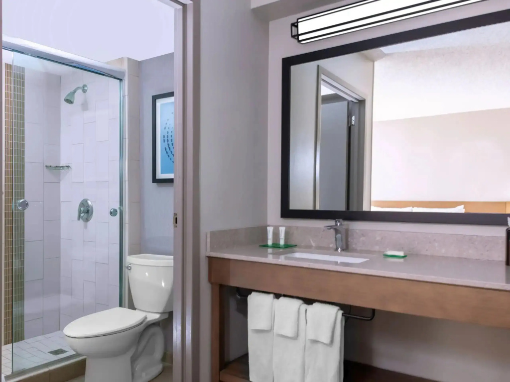 Hyatt Place Dallas/Arlington - Chambres