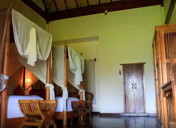 Super Deluxe Double room (twin beds)