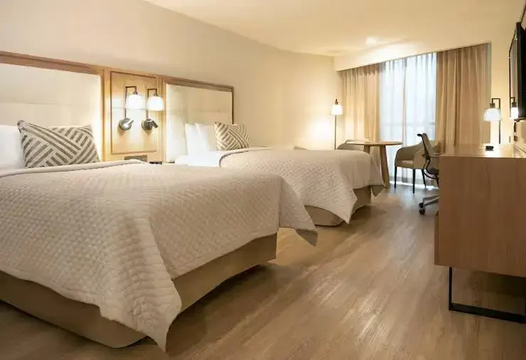 MS Milenium Monterrey, Curio Collection by Hilton - Chambres