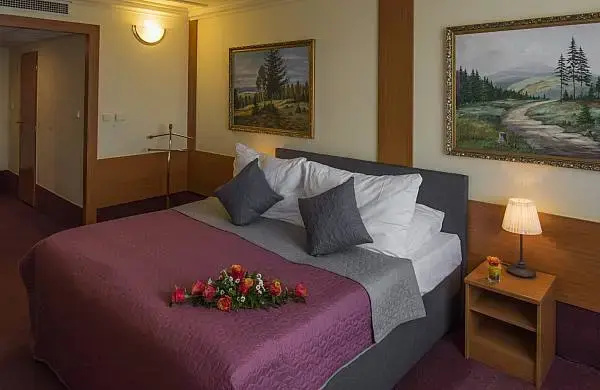 Business Double Suite (full double bed)