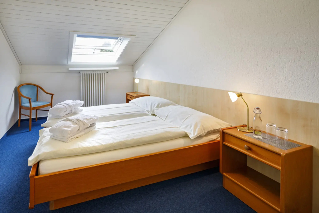 Budget Double room (twin beds)