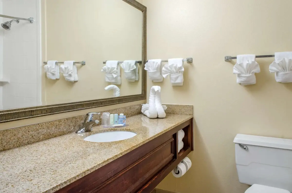 Ramada by Wyndham Shreveport Airport - Chambres