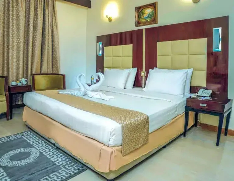 Standard Double room (full double bed)